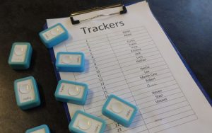 LDP tracking form