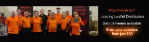LDP leaflet team 9